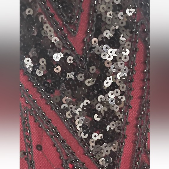 Vampy Gothic Maxi Dress- Black Mesh and Sequins over Red lining w/ Tassels LARGE - Picture 6 of 14